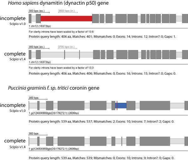 Parameters to identify divergent exons and very short exons