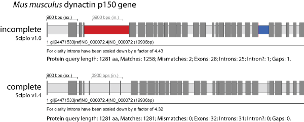 Parameters to identify divergent exons and very short exons