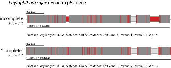 Parameter to account for missing bases in predicted exons