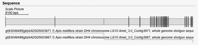 Unscaled sequence picture