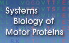 link to motorprotein.de